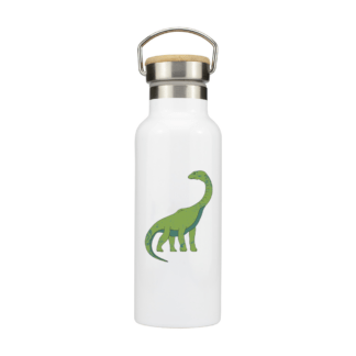 Dinosaur Personalised Metal Bottle with Bamboo Lid